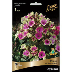 ����  ����� ����������� �������, ������ �� 370 ���