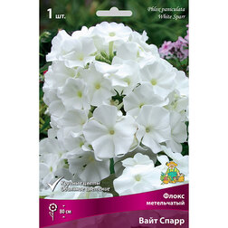 ����  ����� ����������� ���� �����, ������ �� 246 ���