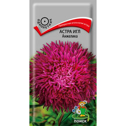 ����  ����� ��� ��������, ������ �� 26 ���