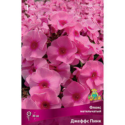 ����  ����� ����������� ����� ����, ������ �� 263 ���