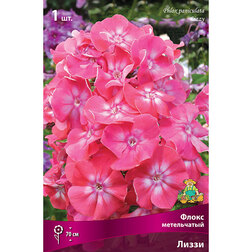 ����  ����� ����������� �����, ������ �� 328 ���