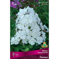 ����  ����� ����������� ������, ������ �� 258 ���