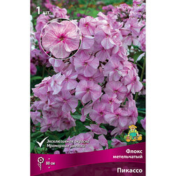 ����  ����� ����������� �������, ������ �� 314 ���