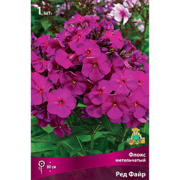 ����  ����� ����������� ��� �����, ������ �� 263 ���