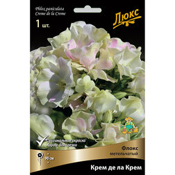 ����  ����� ����������� ���� �� �� ����, ������ �� 370 ���