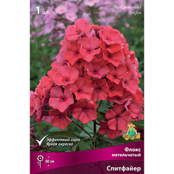 ����  ����� ����������� ���������, ������ �� 258 ���