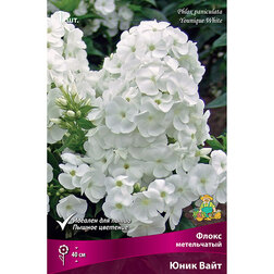 ����  ����� ����������� ���� ����, ������ �� 328 ���