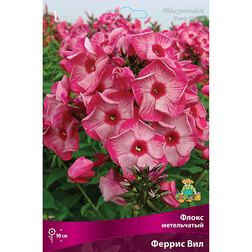 ����  ����� ����������� ������ ���, ������ �� 275 ���