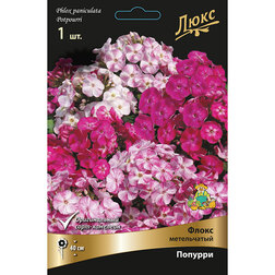 ����  ����� ����������� �������, ������ �� 370 ���