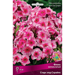 ����  ����� ����������� ����� ��� �������, ������ �� 275 ���