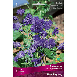 ����  ��������� ������ ������� ������ ���, ������ �� 209 ���