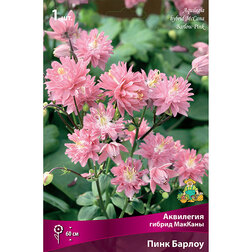 ����  ��������� ������ ������� ������ ����, ������ �� 209 ���