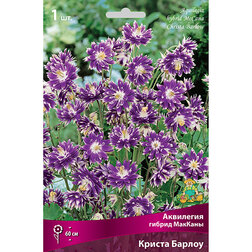 ����  ��������� ������ ������� ������ ������, ������ �� 209 ���