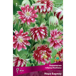 ����  ��������� ������ ������� ���� ������, ������ �� 209 ���