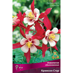 ����  ��������� ������������ ������� ����, ������ �� 209 ���