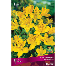 ����  ������������ ���������� �����, ������ �� 331 ���