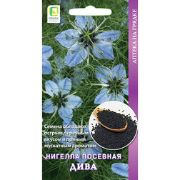 ����  ������� �������� ���� (������ ����), ������ �� 29 ���