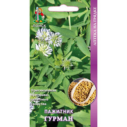 ����  �������� ������, ������ �� 29 ���