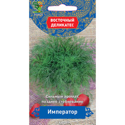 ����  ����� ��������� (��������� ���������), ������ �� 29 ���