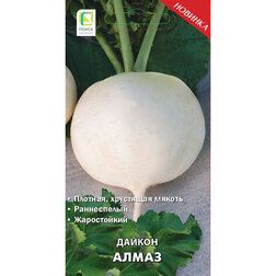 ����  ������ �����, ������ �� 29 ���