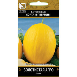 ����  ���� ���������� ����, ������ �� 30 ���