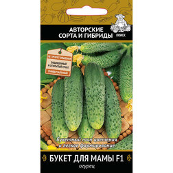 ����  ������ ����� ��� ���� F1, ������ �� 40 ���