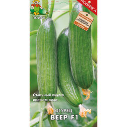 ����  ������ ���� F1, ������ �� 34 ���