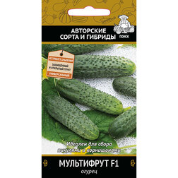 ����  ������ ���������� F1, ������ �� 40 ���