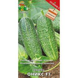 ����  ������ ����� F1, ������ �� 41 ���