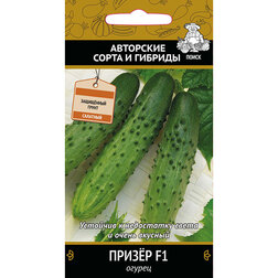 ����  ������ ����� F1 (���� ������. �� ����� 2024 �), ������ �� 21 ���