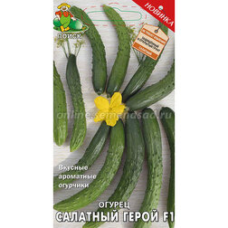 ����  ������ �������� ����� F1, ������ �� 49 ���