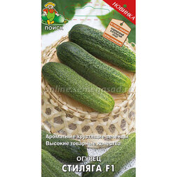 ����  ������ ������� F1, ������ �� 39 ���