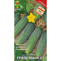 ����  ������ ��������� F1, ������ �� 36 ���