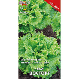 ����  ����� �������, ������ �� 30 ���