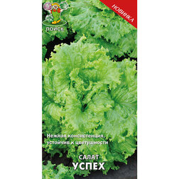 ����  ����� �����, ������ �� 29 ���