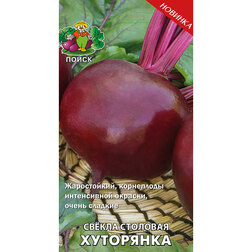 ����  ������ �������� ���������, ������ �� 29 ���