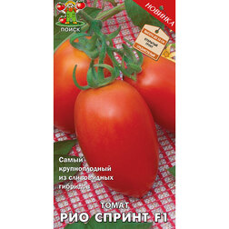 ����  ����� ��� ������ F1, ������ �� 29 ���