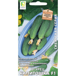 ����  ������ ��������� F1 (��������� �����), ������ �� 40 ���