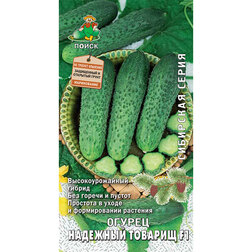 ����  ������ �������� ������� F1 (��������� �����), ������ �� 38 ���