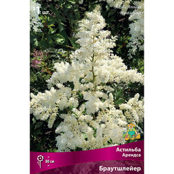 ����  �������� ������� (�����������), ������ �� 263 ���