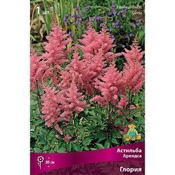 ����  �������� ������� ������, ������ �� 263 ���