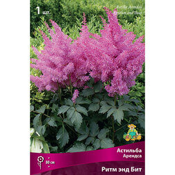 ����  �������� ������� ���� ��� ���, ������ �� 328 ���