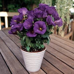 ����  ������� ������ ��� (1��-100��) ���������������� ������, ������ �� 800 ���