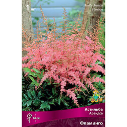 ����  �������� ������� ��������, ������ �� 360 ���