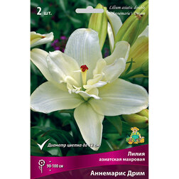 ����  ����� ��������� �������� ��������� ���� (2��.), ������ �� 462 ���