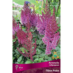 ����  �������� ��������� ϸ�� ����, ������ �� 396 ���