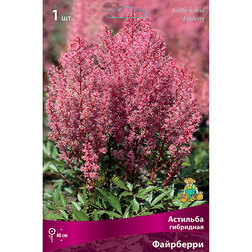 ����  �������� ��������� ���������, ������ �� 336 ���