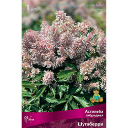 ����  �������� ��������� ���������, ������ �� 328 ���