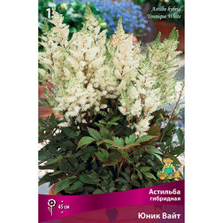 ����  �������� ��������� (���� ����), ������ �� 328 ���