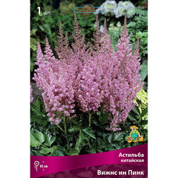 ����  �������� ��������� (����� �� ����), ������ �� 336 ���